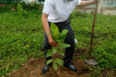 Trồng cây đời đời nhớ ơn Bác